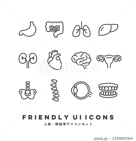 UIアイコンセット(人体・解剖学) UIアイコンセット(人体・解剖学) 139980564