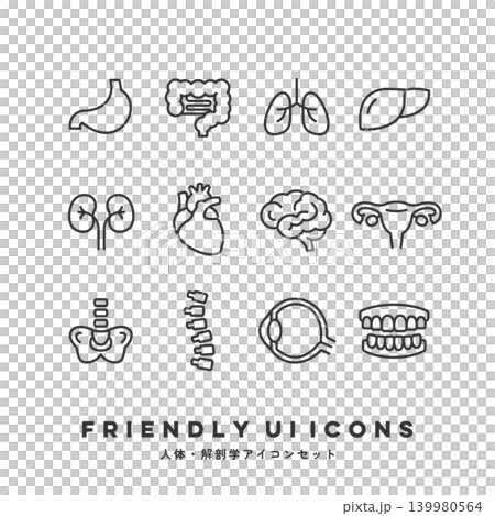 UIアイコンセット(人体・解剖学) UIアイコンセット(人体・解剖学) 139980564