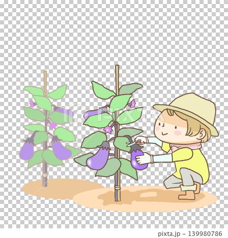 Girls harvesting eggplants Girls harvesting eggplants 139980786