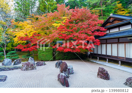 高野山 秋の金剛峯寺の蟠龍庭 高野山 秋の金剛峯寺の蟠龍庭 139980812