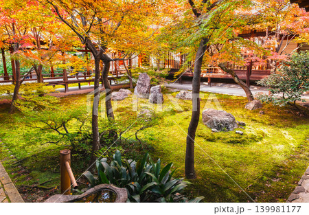 秋の京都 建仁寺 潮音庭 秋の京都 建仁寺 潮音庭 139981177