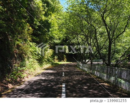 初夏の山 初夏の山 139981255