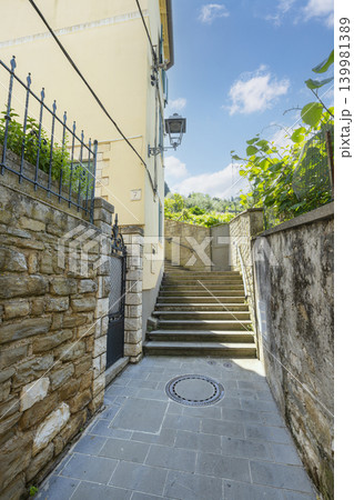 A stone alleyway leads to a set of stairs ascending towards a gate and a hill. A stone alleyway leads to a set of stairs ascending towards a gate and a hill. 139981389