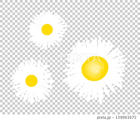 It's a daisy flower illustration. 139981672
