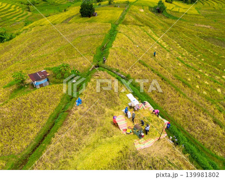 The natural beauty of the Indonesian mountains with beautiful tropical forests at sunrise The natural beauty of the Indonesian mountains with beautiful tropical forests at sunrise 139981802