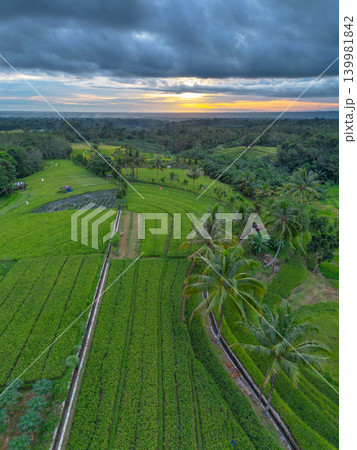 The natural beauty of the Indonesian mountains with beautiful tropical forests at sunrise 139981842