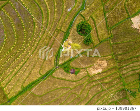 The natural beauty of the Indonesian mountains with beautiful tropical forests at sunrise The natural beauty of the Indonesian mountains with beautiful tropical forests at sunrise 139981867