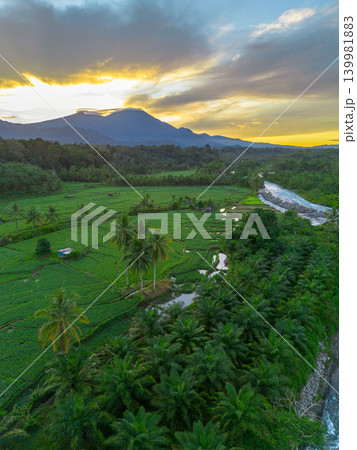 The natural beauty of the Indonesian mountains with beautiful tropical forests at sunrise 139981883