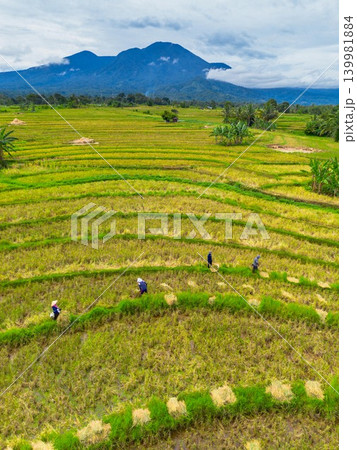 The natural beauty of the Indonesian mountains with beautiful tropical forests at sunrise 139981884