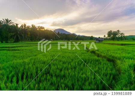 The natural beauty of the Indonesian mountains with beautiful tropical forests at sunrise The natural beauty of the Indonesian mountains with beautiful tropical forests at sunrise 139981889