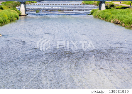 京都の鴨川の風景 京都の鴨川の風景 139981939