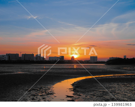 谷津干潟の夕景 139981963