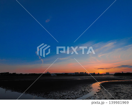 谷津干潟の夕景 139981969