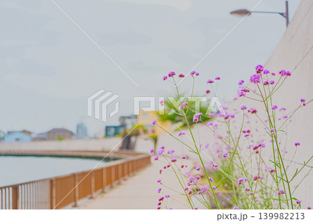 中川遊歩道沿いに咲くむらさき色の花 中川遊歩道沿いに咲くむらさき色の花 139982213