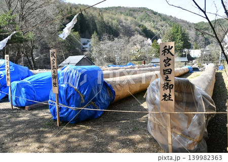 御柱祭　里曳き　注連掛 139982363