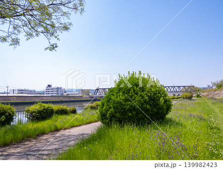 春の終わりの川沿いの遊歩道と緑の茂み 春の終わりの川沿いの遊歩道と緑の茂み 139982423