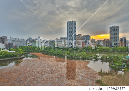 April 24 2026 Shinobazuno Pond Urban Oasis In Central Tokyo, japan April 24 2026 Shinobazuno Pond Urban Oasis In Central Tokyo, japan 139982572