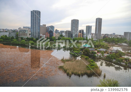 April 24 2026 Shinobazuno Pond Urban Oasis In Central Tokyo, japan 139982576