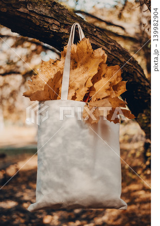 Linen tote bag filled with yellow maple leaves rests on stone path in park. Autumn sale, seasonal marketing visuals, fall social media content , organic brand aesthetic. Linen tote bag filled with yellow maple leaves rests on stone path in park. Autumn sale, seasonal marketing visuals, fall social media content , organic brand aesthetic. 139982904
