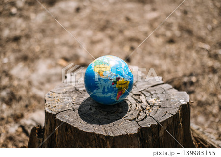 Small globe sits on top of cut tree stump in forest. Deforestation global consequences, loss of biodiversity, environmental damage concept. 139983155