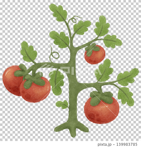 Little bunny and tomato Little bunny and tomato 139983785