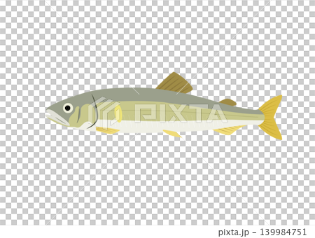 鮎のイラスト 鮎のイラスト 139984751