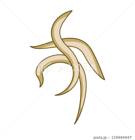 Parasitic worms medical illustration on white background Parasitic worms medical illustration on white background 139984947