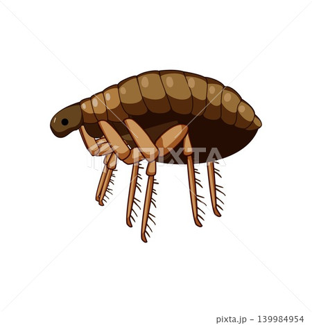 Flea insect illustration, concept of parasitic infestation Flea insect illustration, concept of parasitic infestation 139984954