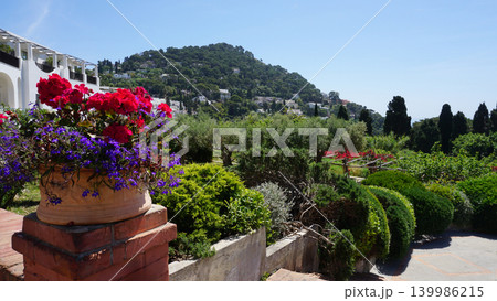 Bautiful public garden in Capri island - Giardini di Augusto 139986215