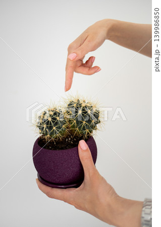 Close-up of a young woman s finger gently touching the spine of a cactus plant. Nature, prickly plant, caution, and sensory interaction concept. Outdoors, green succulent, close-up photography Close-up of a young woman s finger gently touching the spine of a cactus plant. Nature, prickly plant, caution, and sensory interaction concept. Outdoors, green succulent, close-up photography 139986850