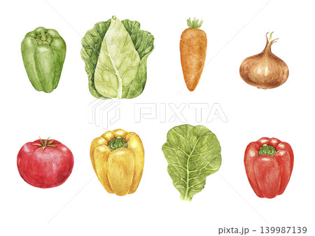 Peppers, tomatoes, cabbage, carrots and onions watercolor vegetable clip art collection for recipe cards, packaging labels, menus and seasonal cooking projects. Peppers, tomatoes, cabbage, carrots and onions watercolor vegetable clip art collection for recipe cards, packaging labels, menus and seasonal cooking projects. 139987139