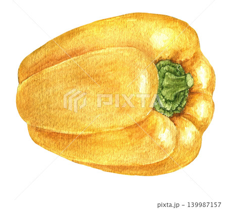 Yellow bell pepper watercolor vegetable illustration for recipe cards, menu designs, food packaging, harvest themes and seasonal kitchen projects. hand painted art Yellow bell pepper watercolor vegetable illustration for recipe cards, menu designs, food packaging, harvest themes and seasonal kitchen projects. hand painted art 139987157