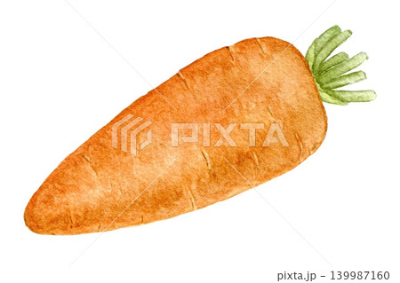Carrot watercolor vegetable illustration for recipe cards, menu designs, food packaging, harvest themes and seasonal kitchen projects. 139987160