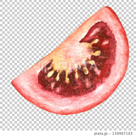 Tomato slice watercolor vegetable illustration for recipe cards, menu designs, food packaging, harvest themes and seasonal kitchen projects. hand painted art Tomato slice watercolor vegetable illustration for recipe cards, menu designs, food packaging, harvest themes and seasonal kitchen projects. hand painted art 139987183