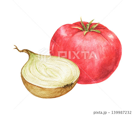 Tomato and onion half watercolor composition for recipe cards, kitchen decoration, food packaging, menu templates and seasonal cooking projects. Ingredients for soup frying. 139987232