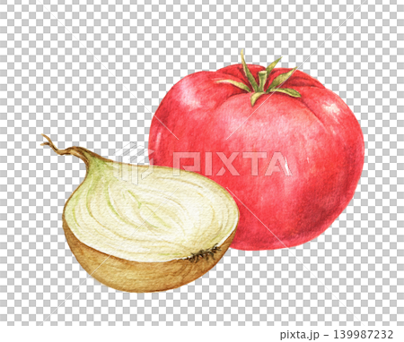 Tomato and onion half watercolor composition for recipe cards, kitchen decoration, food packaging, menu templates and seasonal cooking projects. Ingredients for soup frying. 139987232