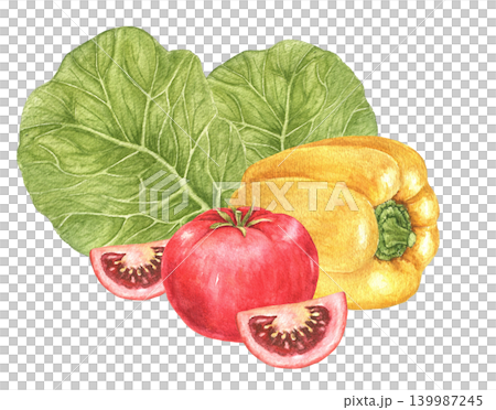 Cabbage leaves, yellow pepper, tomato and tomato slices watercolor composition for recipe cards, kitchen decoration, food packaging, Thanksgiving menus, harvest festivals and autumn dinner projects. Cabbage leaves, yellow pepper, tomato and tomato slices watercolor composition for recipe cards, kitchen decoration, food packaging, Thanksgiving menus, harvest festivals and autumn dinner projects. 139987245
