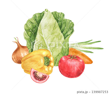 Cabbage, onion, tomato, carrot, yellow pepper and tomato slice watercolor composition for recipe cards, kitchen decoration, food packaging, harvest festivals and Thanksgiving menus. Cabbage, onion, tomato, carrot, yellow pepper and tomato slice watercolor composition for recipe cards, kitchen decoration, food packaging, harvest festivals and Thanksgiving menus. 139987253