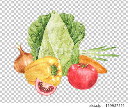 Cabbage, onion, tomato, carrot, yellow pepper and tomato slice watercolor composition for recipe cards, kitchen decoration, food packaging, harvest festivals and Thanksgiving menus. Cabbage, onion, tomato, carrot, yellow pepper and tomato slice watercolor composition for recipe cards, kitchen decoration, food packaging, harvest festivals and Thanksgiving menus. 139987253