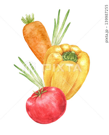 Carrot, yellow pepper, tomato and herbs watercolor vertical composition for recipe cards, kitchen decoration, food packaging, Easter brunches, harvest celebrations and seasonal cooking projects. Carrot, yellow pepper, tomato and herbs watercolor vertical composition for recipe cards, kitchen decoration, food packaging, Easter brunches, harvest celebrations and seasonal cooking projects. 139987255