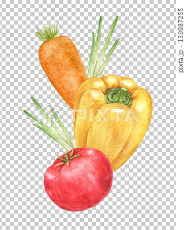 Carrot, yellow pepper, tomato and herbs watercolor vertical composition for recipe cards, kitchen decoration, food packaging, Easter brunches, harvest celebrations and seasonal cooking projects. Carrot, yellow pepper, tomato and herbs watercolor vertical composition for recipe cards, kitchen decoration, food packaging, Easter brunches, harvest celebrations and seasonal cooking projects. 139987255