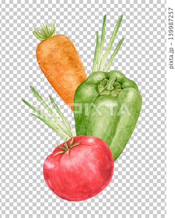 Carrot, green pepper, tomato and herbs watercolor composition for recipe cards, kitchen decoration, food packaging, Easter brunches, harvest festivals and seasonal cooking projects. Carrot, green pepper, tomato and herbs watercolor composition for recipe cards, kitchen decoration, food packaging, Easter brunches, harvest festivals and seasonal cooking projects. 139987257