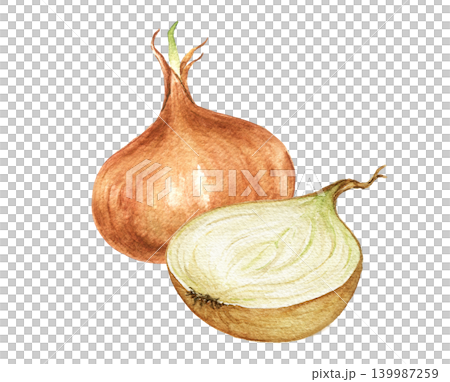 yellow onion and onion half watercolor composition for recipe cards, kitchen decoration, food packaging, menu templates and seasonal cooking projects. Ingredients for soup frying. 139987259