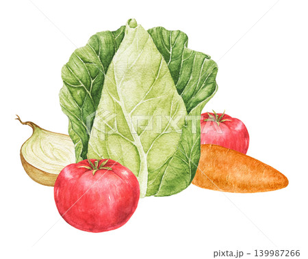 Tomatoes, tomato slices, onions, carrots and cabbage watercolor composition for kitchen decoration, recipe cards, food packaging and seasonal Thanksgiving projects. Tomatoes, tomato slices, onions, carrots and cabbage watercolor composition for kitchen decoration, recipe cards, food packaging and seasonal Thanksgiving projects. 139987266