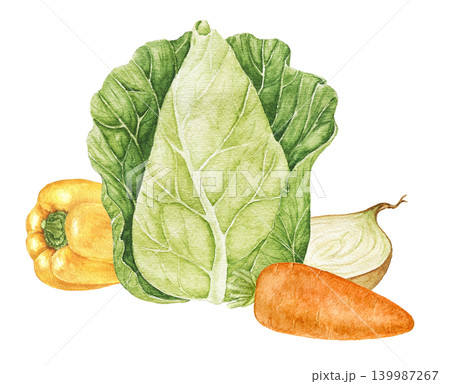 Onions, tomatoes, tomato slices, carrots and cabbage watercolor composition for recipe cards, kitchen decoration, food packaging, Thanksgiving themes and seasonal culinary projects. Onions, tomatoes, tomato slices, carrots and cabbage watercolor composition for recipe cards, kitchen decoration, food packaging, Thanksgiving themes and seasonal culinary projects. 139987267