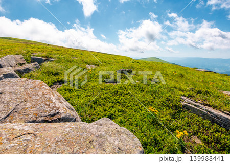 carpathian mountain landscape in summer. nice view of a grassy alpine meadow. rock and yellow herbs on the hill. sunny mountain weather with fluffy clouds on the sky carpathian mountain landscape in summer. nice view of a grassy alpine meadow. rock and yellow herbs on the hill. sunny mountain weather with fluffy clouds on the sky 139988441