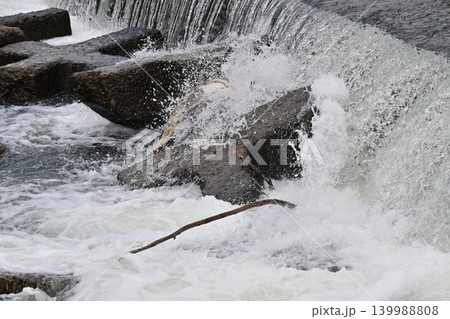 河川の氾濫・増水　溢水　越水　A river overflows 139988808