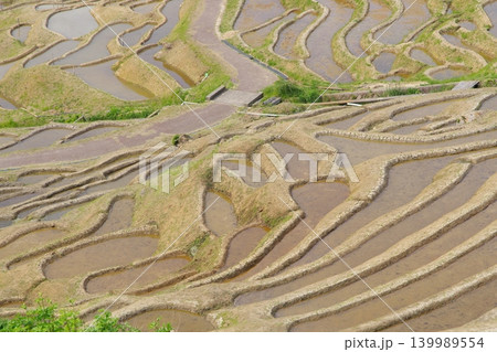 田植え前の白米千枚田 2023年5月 田植え前の白米千枚田 2023年5月 139989554