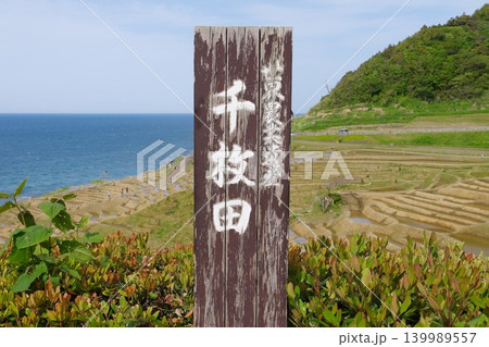 田植え前の白米千枚田を望む 2023年5月 田植え前の白米千枚田を望む 2023年5月 139989557