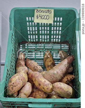 Cordoba, Argentina - April 9, 2026: pale sweet potatoes displayed in green crate 139989818